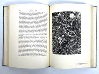 Walden, or Life in the Woods, Henry Thoreau, Limited Editions Club, Edward Steichen, SIGNED