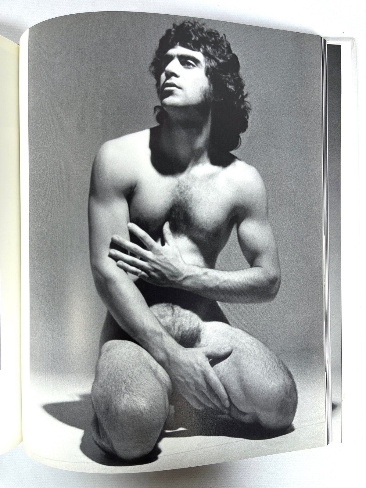 Roy Blakey's 70s Male Nudes, Reed Massengill, 2003, Near Fine hardcover.