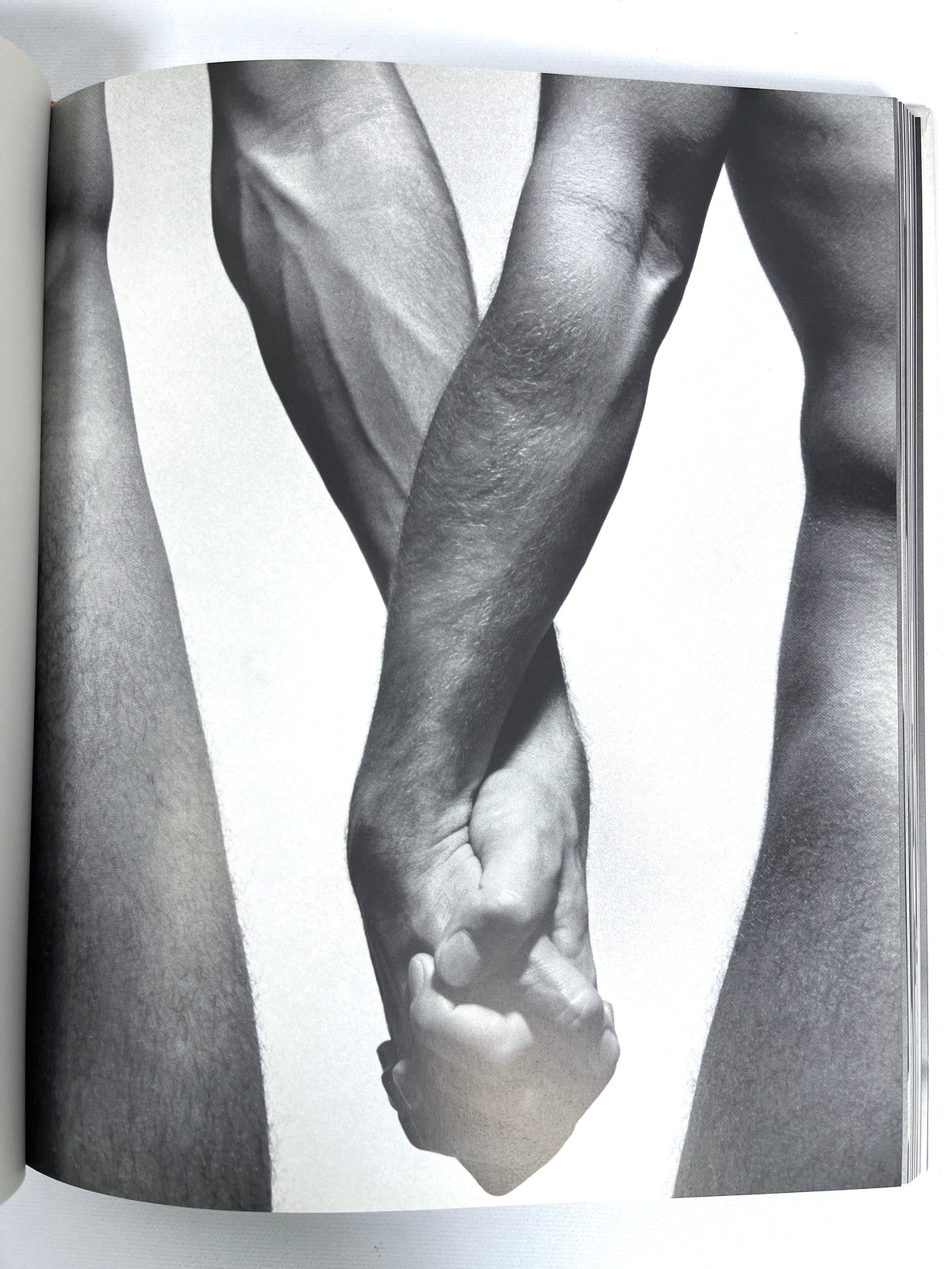 Roy Blakey's 70s Male Nudes, Reed Massengill, 2003, Near Fine hardcover.