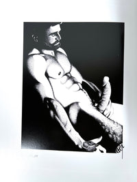 Bruno Gmünder, Rex Verboten! 2012, Near Fine hardcover with dust jacket, 18+