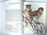 Owls of the Northern Hemisphere, Karel H Voous, 1989, Near Fine hardcover, Very Good + dust jacket