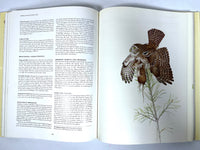 Owls of the Northern Hemisphere, Karel H Voous, 1989, Near Fine hardcover, Very Good + dust jacket