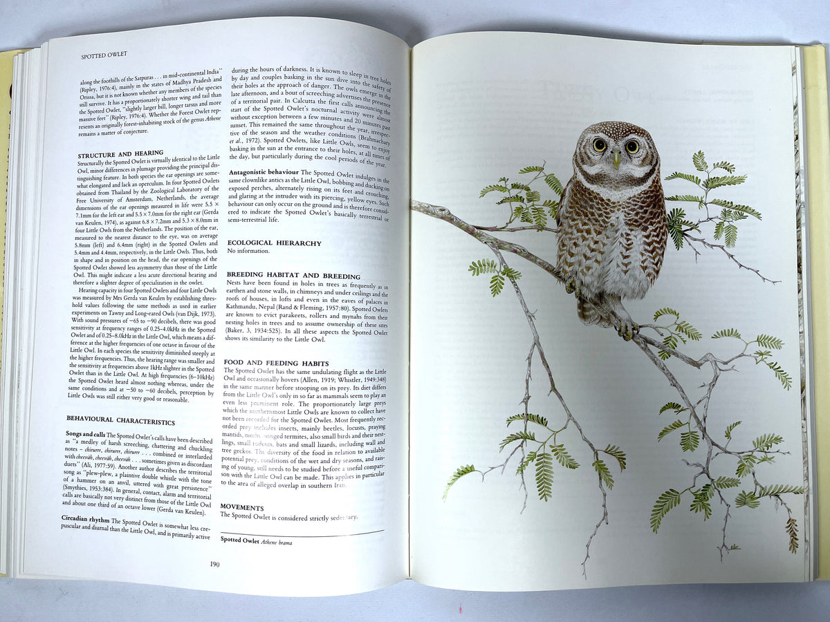 Owls of the Northern Hemisphere, Karel H Voous, 1989, Near Fine hardcover, Very Good + dust jacket