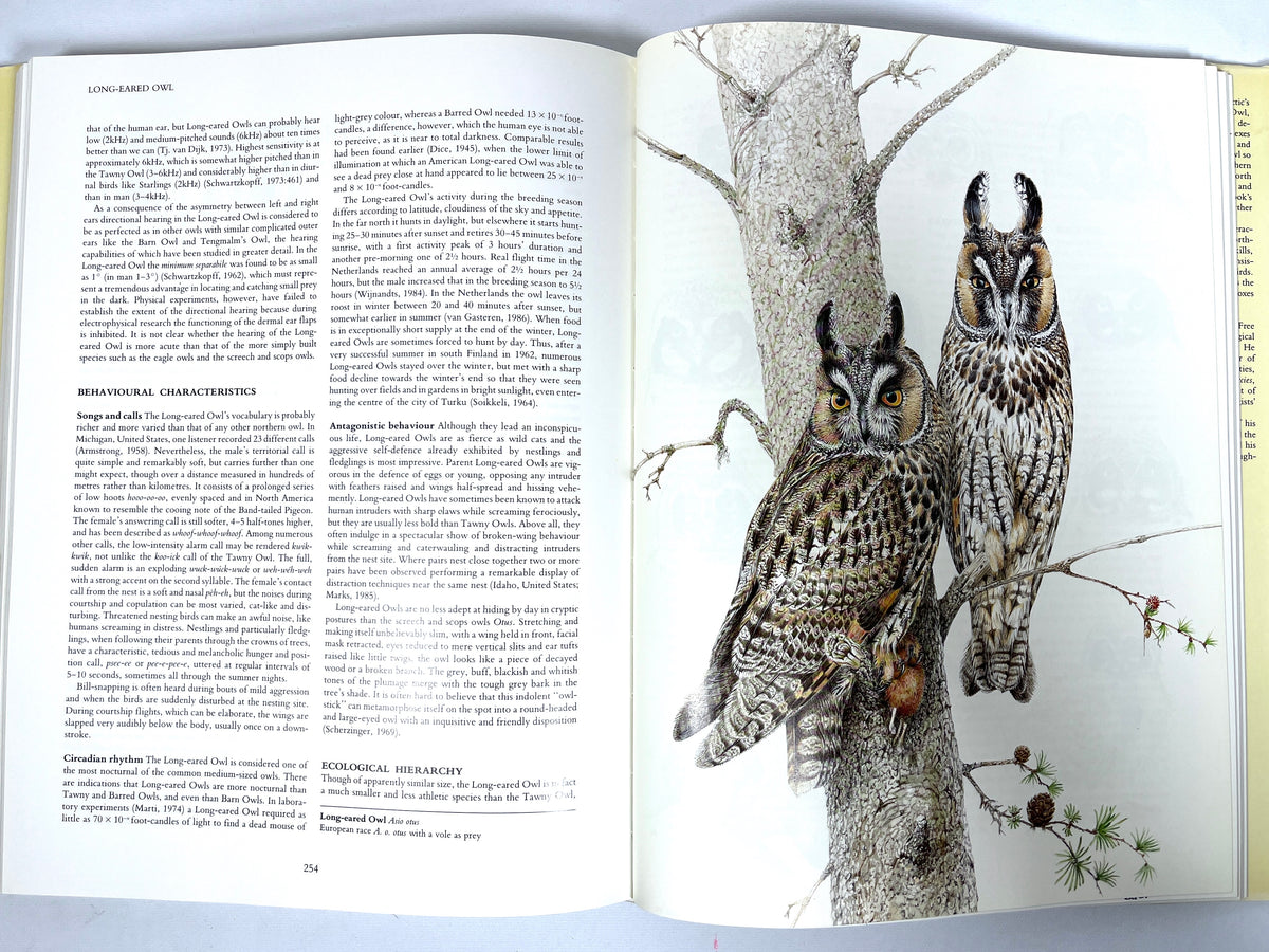 Owls of the Northern Hemisphere, Karel H Voous, 1989, Near Fine hardcover, Very Good + dust jacket