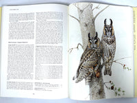 Owls of the Northern Hemisphere, Karel H Voous, 1989, Near Fine hardcover, Very Good + dust jacket