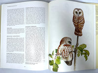 Owls of the Northern Hemisphere, Karel H Voous, 1989, Near Fine hardcover, Very Good + dust jacket