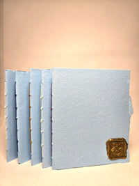 Rhymes of Jacking & Jilling: A Chapbook of Erotic Poetry. #1 in First Bite Press Chapbook Series 18+