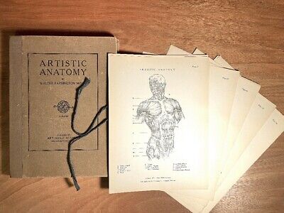 Artistic Anatomy, Walter Farrington Moses 1930, folio binding, rare