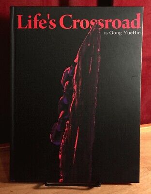 Life's Crossroad Gong YueBin, 2010 Hardcover, Rare