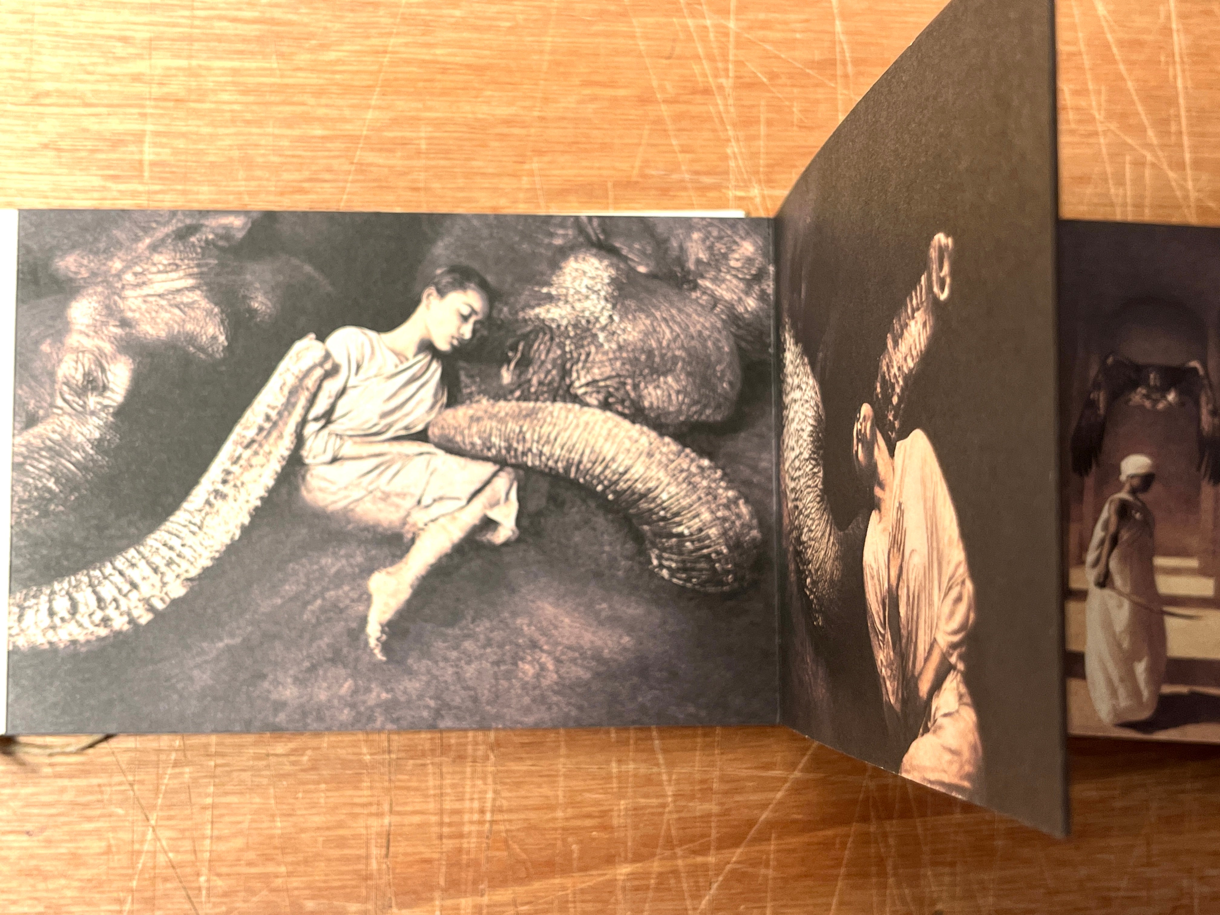 アート・デザイン・音楽 Gregory Colbert 全国送料無料・イイ店 Ashes and Colbert Gregory – Snow アート