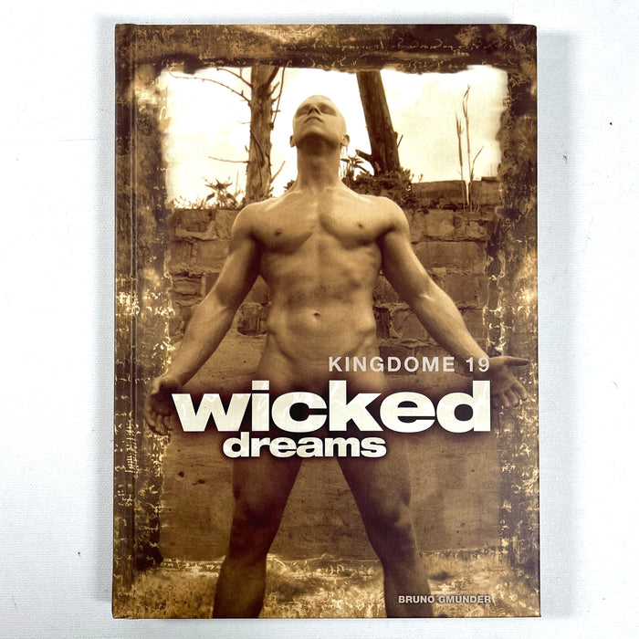 Kingdome 19, Wicked Dreams, Brune Gmunder 2006, NF HC, Gay interest