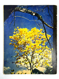 Hawaii as the Camera Sees It, 6th Edition, Honolulu Star-Bulletin, 1941, Very Good SC