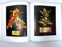 David Ligare: California Classicist, Papadakis & Crocker Art Museum, SIGNED, 2015, Near Fine hardcover w/DJ.