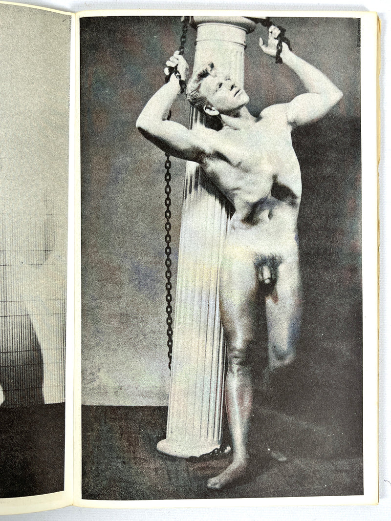 Basic Approach to Drawing the Nude: Body Builders, Vol IV, Very Good SC, gay interest