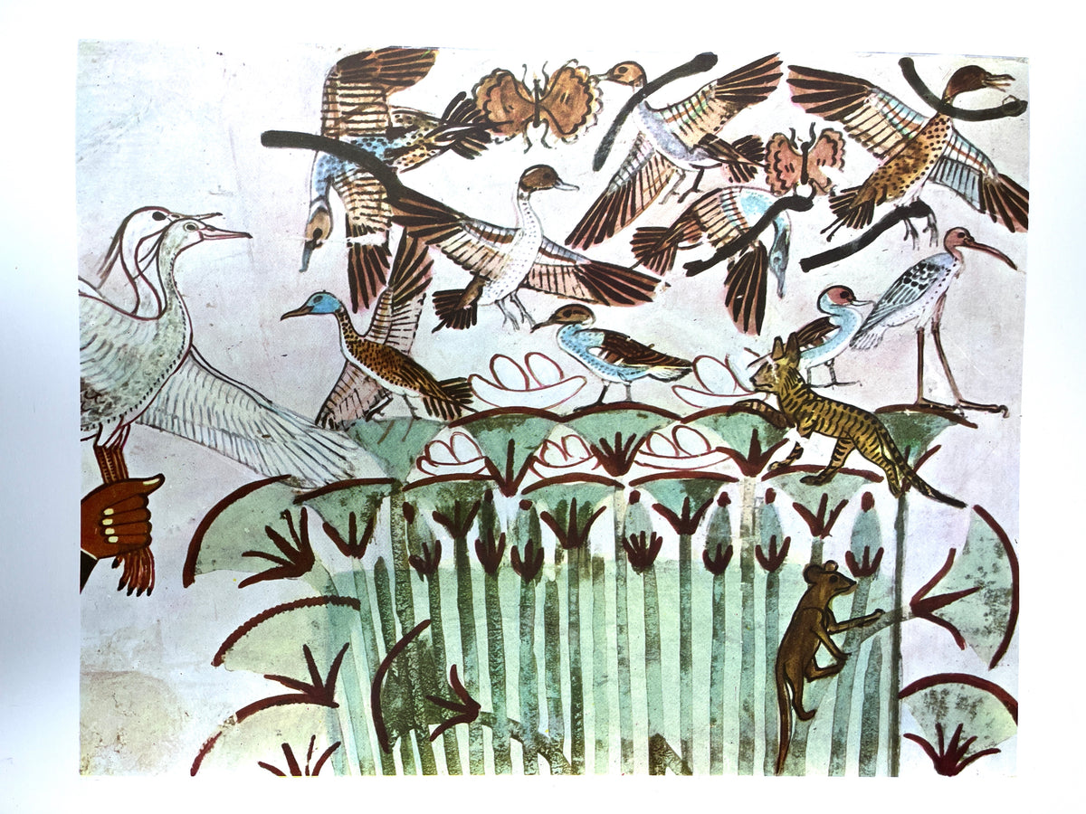 Egypt: Paintings from Tombs and Temples, New York Graphic Society, 1956, Very Good hardcover, No dust jacket.