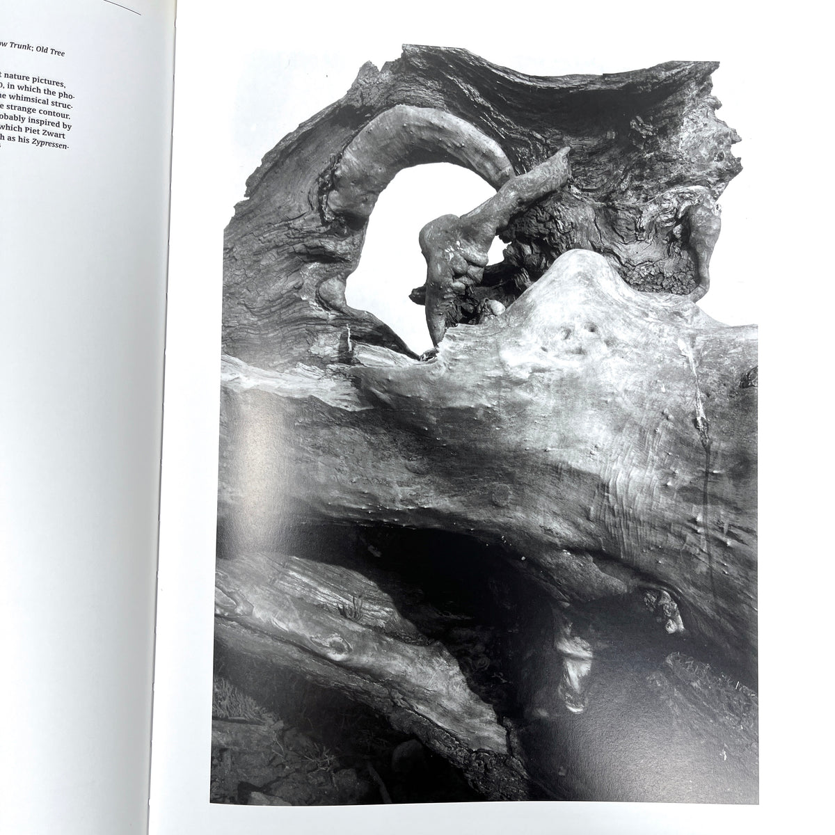 Piet Zwart: 1885-1977, Series of Monographs on Dutch Photographers, Focus Publishing, 1996, Near Fine hardcover, Near Fine dust jacket