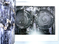 David Maxim: Unseen Pictures: 1988-1996, 1999, exhibit, catalog, Near Fine softcover