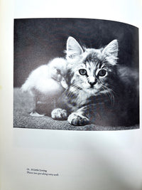 Julia’s Book, Julia Corbit, Signed, 1979, Near Fine hardcover, Good dust jacket
