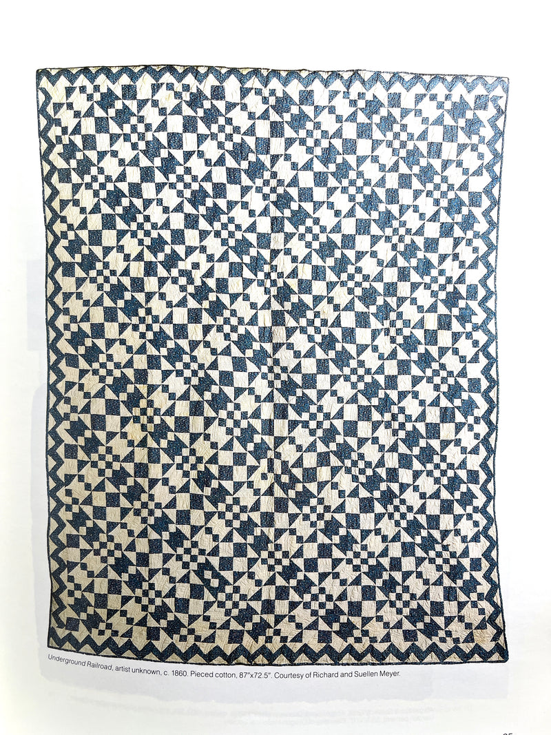 The Power of Cloth: Political Quilts 1845-1986, Jane Benson, Nancy Olsen, Jan Rindfleisch, 1987, Near Fine softcover