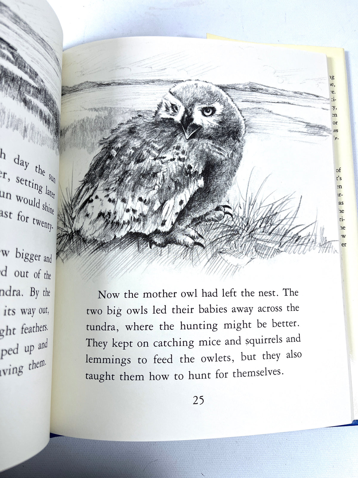 Alice L Hopf, Biography of a Snowy Owl, illus by Fran Stiles, 1979, Near Fine HC w/DJ