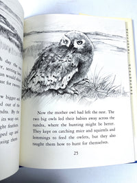 Alice L Hopf, Biography of a Snowy Owl, illus by Fran Stiles, 1979, Near Fine HC w/DJ