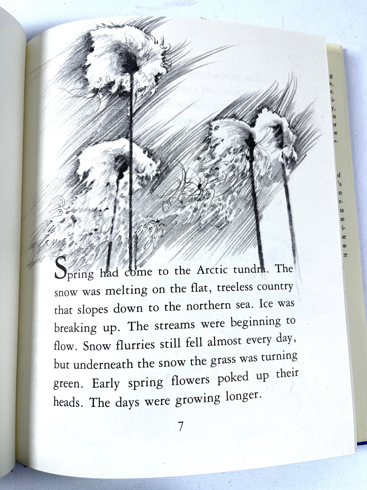 Alice L Hopf, Biography of a Snowy Owl, illus by Fran Stiles, 1979, Near Fine HC w/DJ