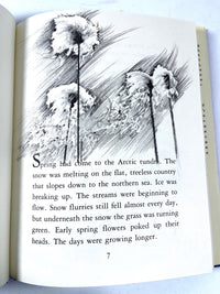 Alice L Hopf, Biography of a Snowy Owl, illus by Fran Stiles, 1979, Near Fine HC w/DJ