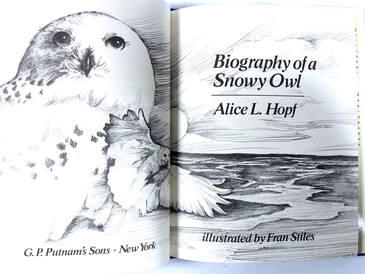 Alice L Hopf, Biography of a Snowy Owl, illus by Fran Stiles, 1979, Near Fine HC w/DJ