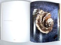 Interiors / Atelier AM: Alexandra & Michael Misczynski, 2012, Near Fine hardcover
