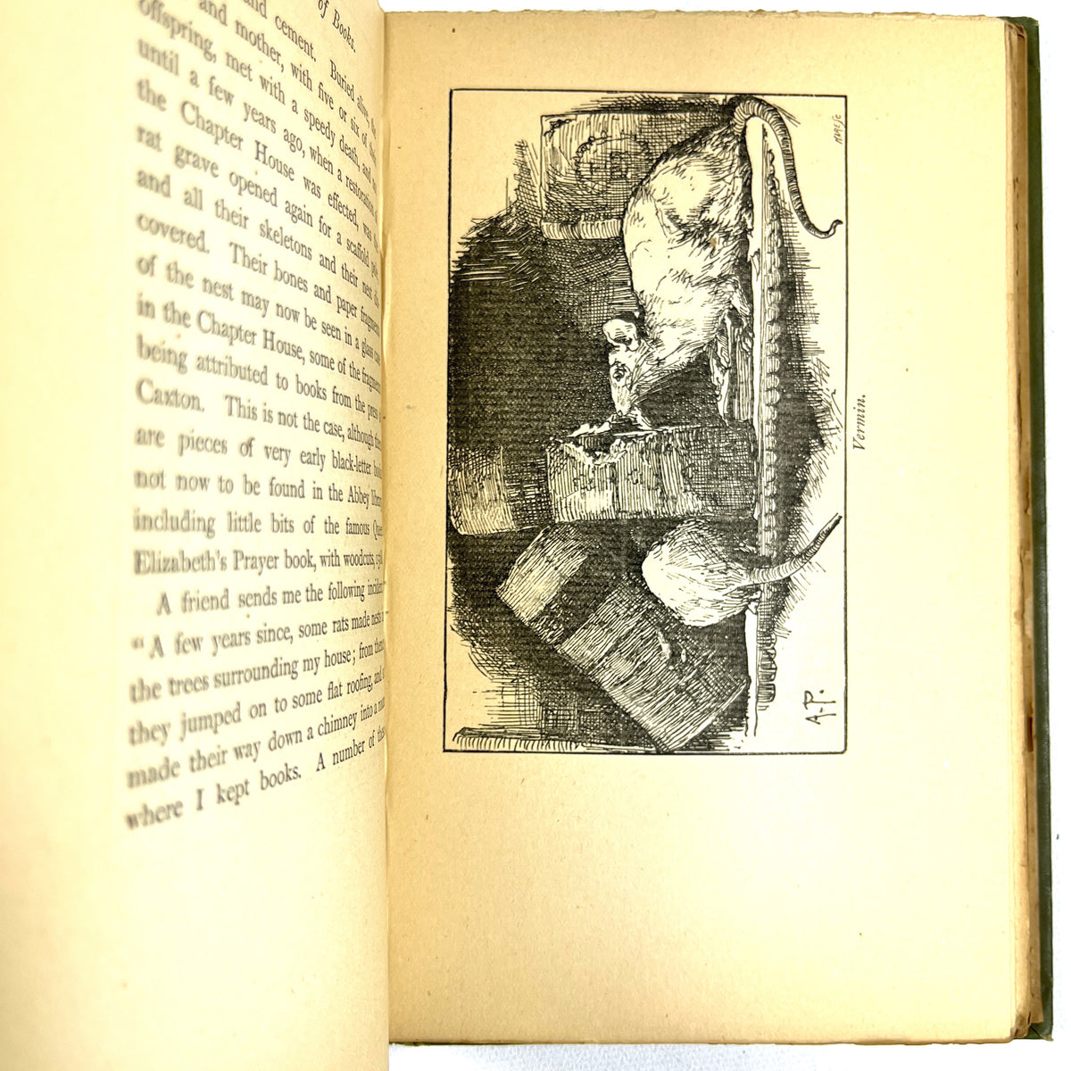 William Blades, The Enemies of Books,  1888, Very Good hardcover