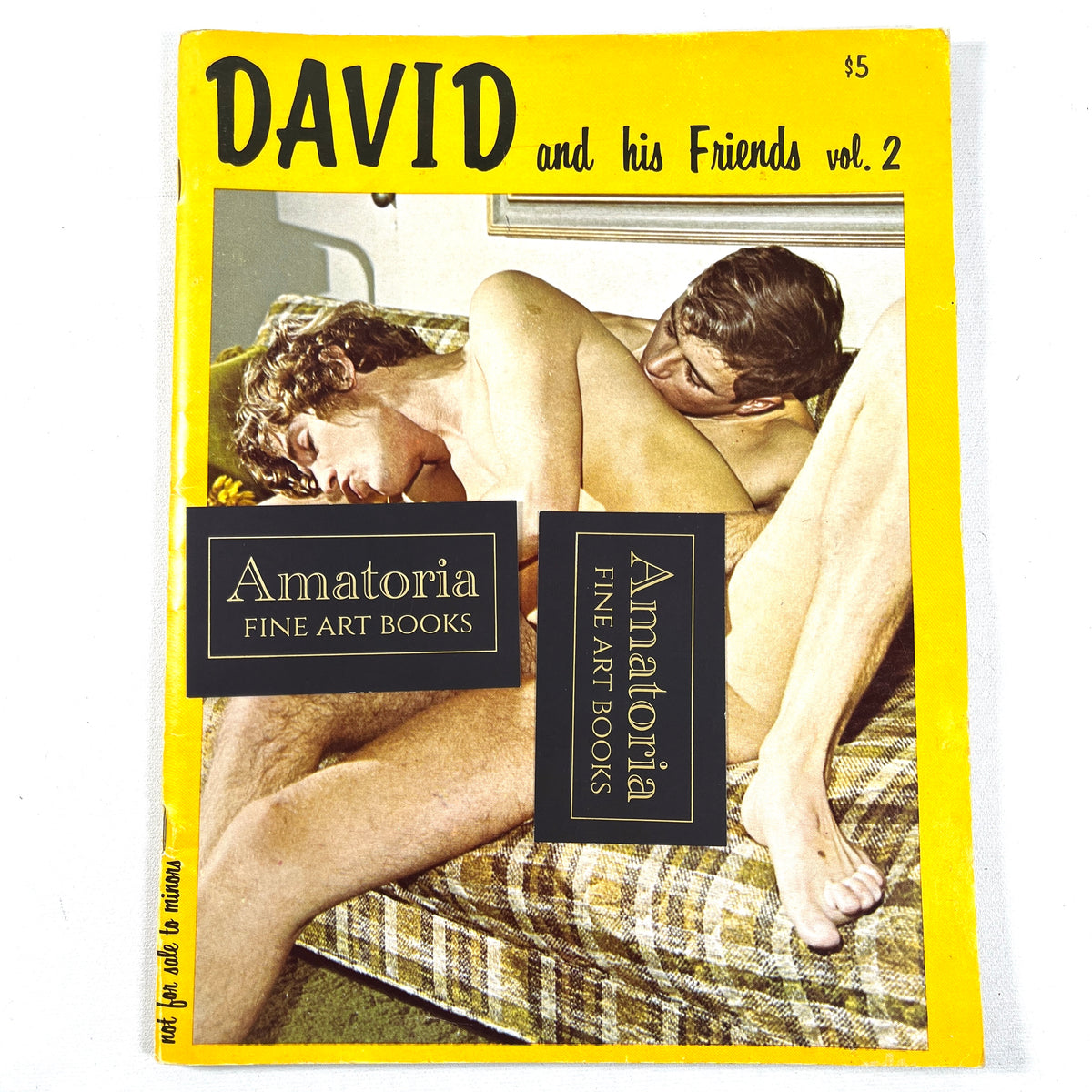 David and His Friends, Vol 2, Le Salon, Undated, Very Good+ staplebound, gay interest