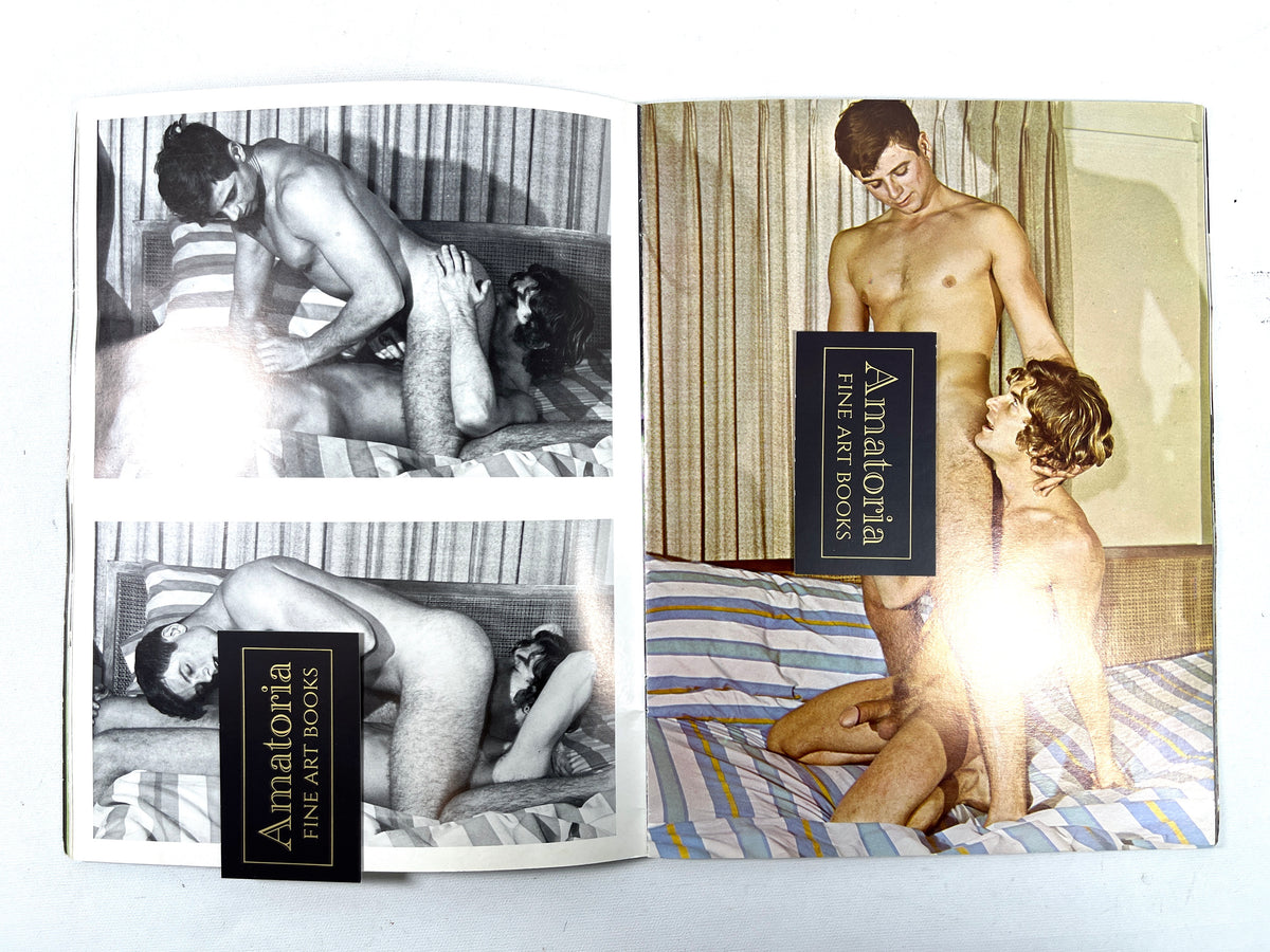 David and His Friends, Vol 2, Le Salon, Undated, Very Good+ staplebound, gay interest