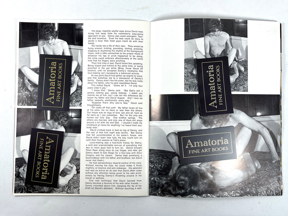 David and His Friends, Vol 2, Le Salon, Undated, Very Good+ staplebound, gay interest