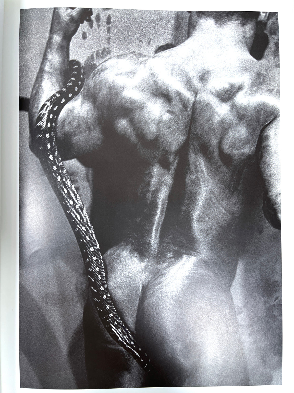 Paul Freeman, Bondi Classic, Cowboy Mouth Publishing, 2003, Near Fine hardcover.