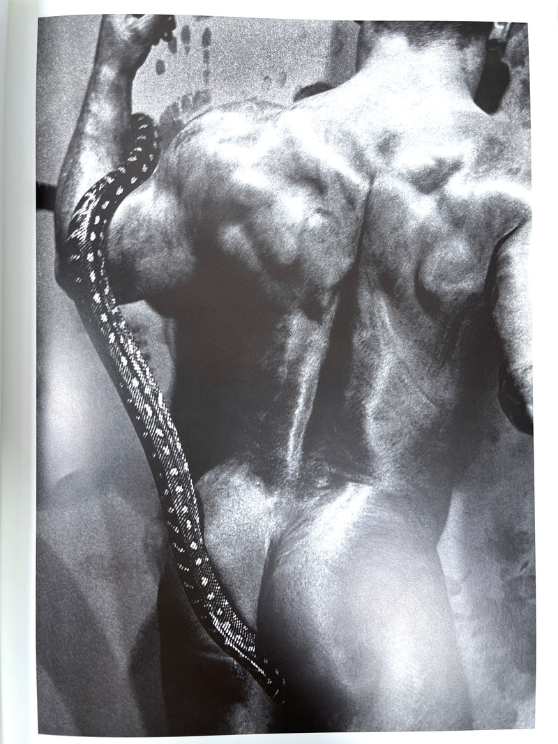 Paul Freeman, Bondi Classic, Cowboy Mouth Publishing, 2003, Near Fine hardcover.