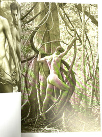 David Vance, The Woods, Pohlmann Press, 1st Ed., 1996, Near Fine softcover.