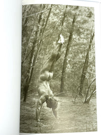 David Vance, The Woods, Pohlmann Press, 1st Ed., 1996, Near Fine softcover.