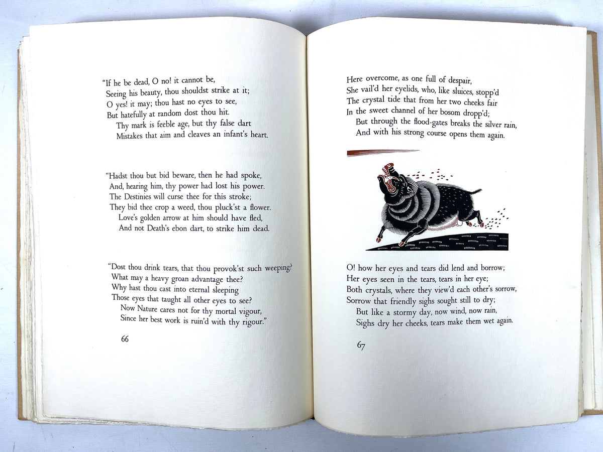 Shakespeare: Venus and Adonis, Rockwell Kent, 1931, SIGNED, Very Good HC w/slipcase