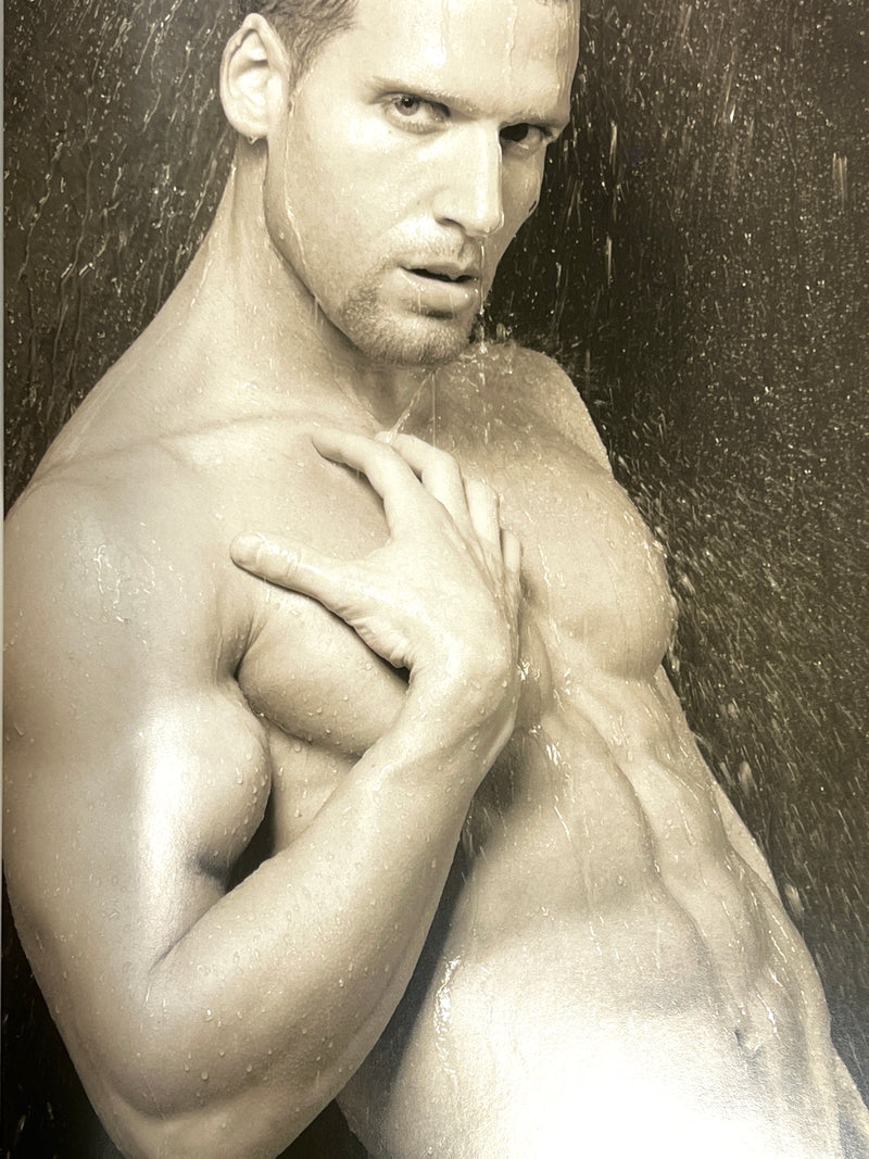 Mark Henderson, Suburban Pleasures, Bruno Gmünder, 2nd Printing, 2010, Very Good hardcover w/DJ.
