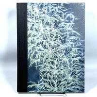 Dustin Yellin: Suspended Animations, exhibit catalog, 2007, Very Good + HC