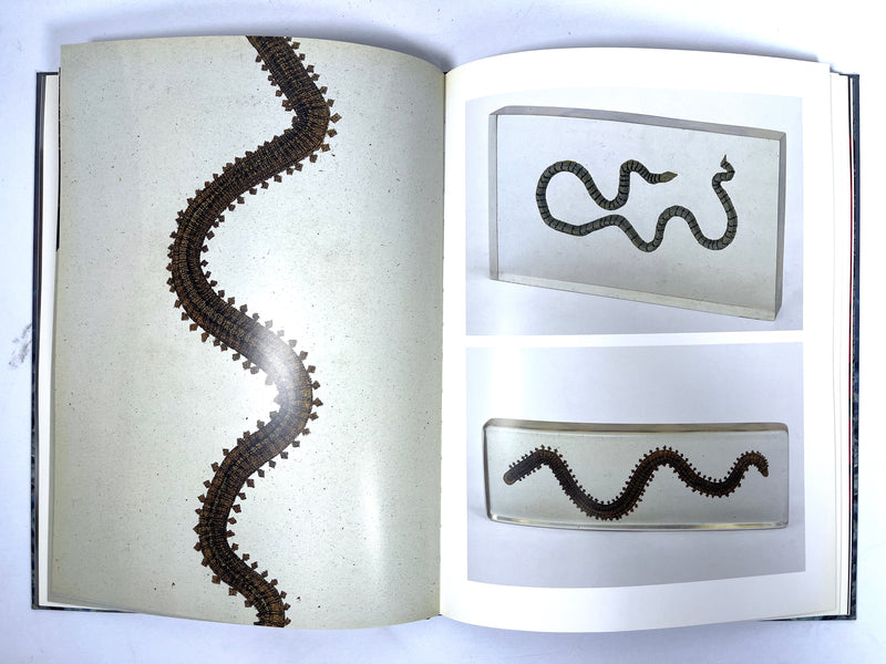 Dustin Yellin: Suspended Animations, exhibit catalog, 2007, Very Good + HC