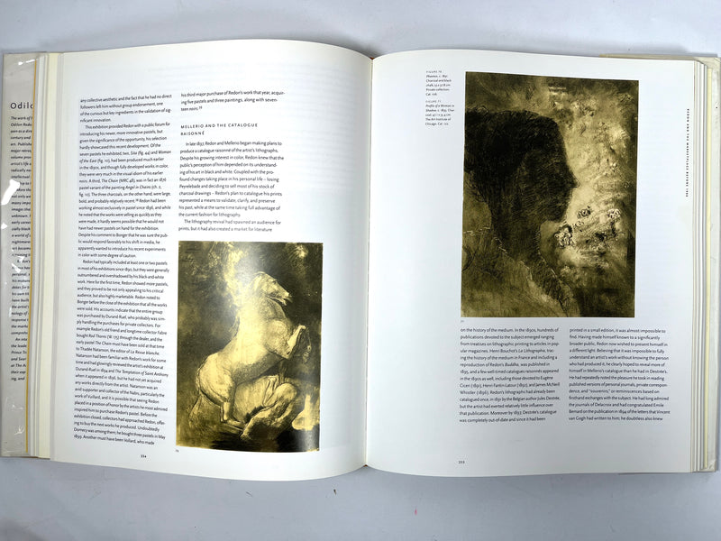 Odilon Redon, Douglas W. Druick, catalog, 1994, Very Good + HC, Very Good + DJ