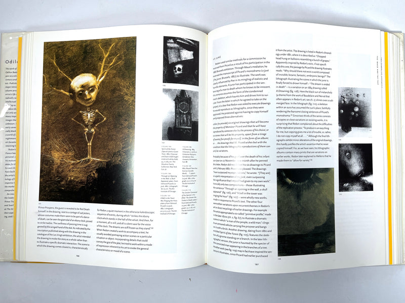 Odilon Redon, Douglas W. Druick, catalog, 1994, Very Good + HC, Very Good + DJ