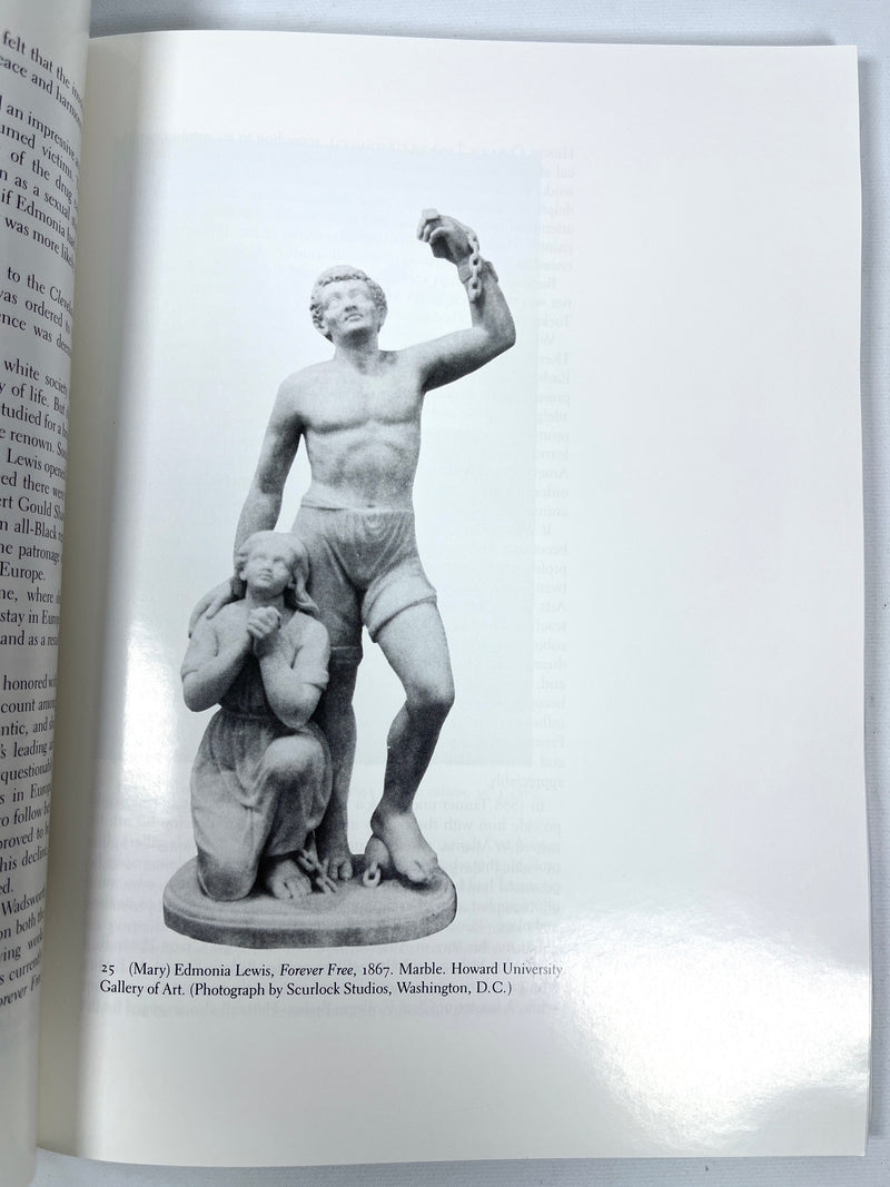 Art: African American, Samella Lewis, 1990, Near Fine SC