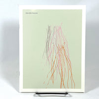 Mike Mills: Fireworks, Nieves, First Edition, 2008, Near Fine staplebound