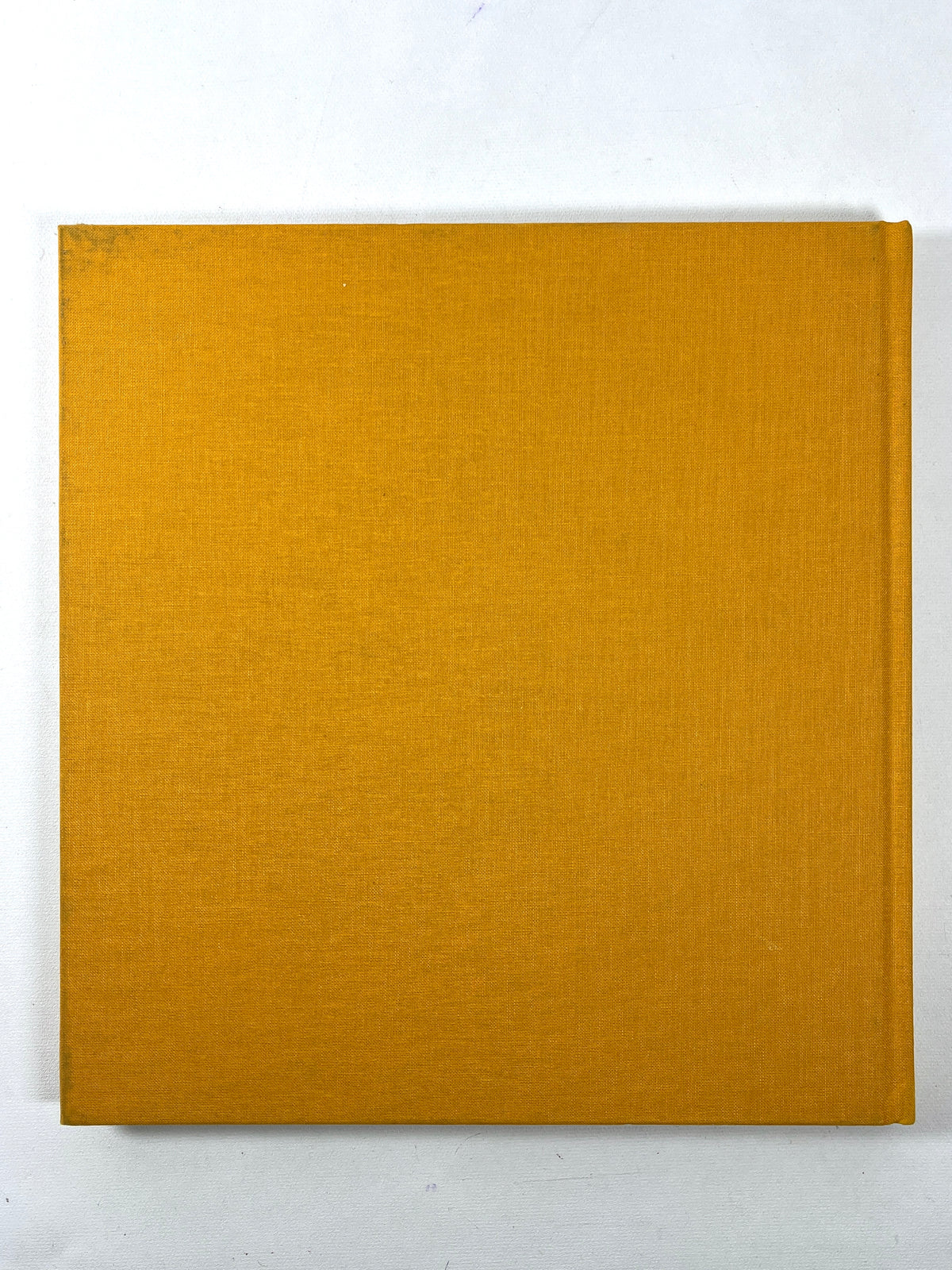 Enrico Natali, Detroit 1968, Foggy Notion Books 2013, Very Good hardcover