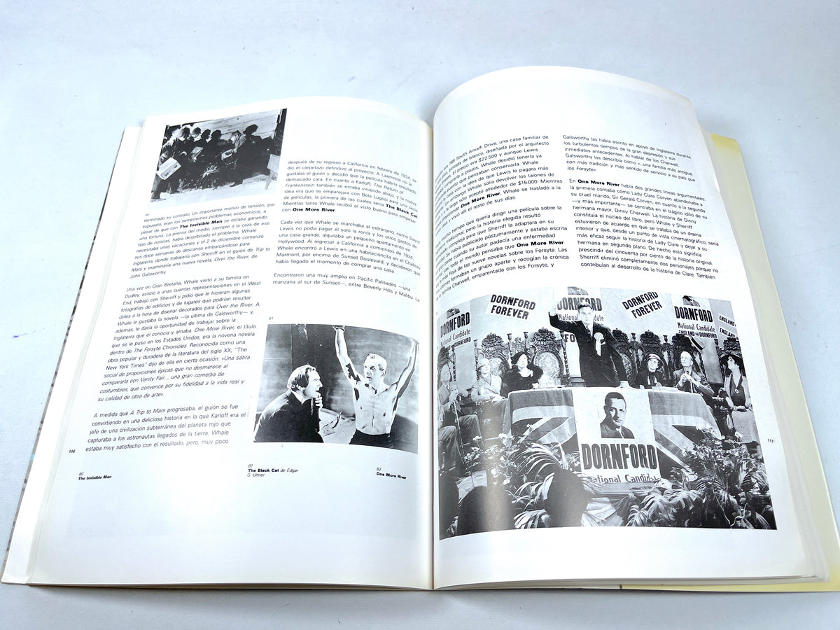 James Whale, James Curtis, Filmoteca, 1989, Very Good softcover