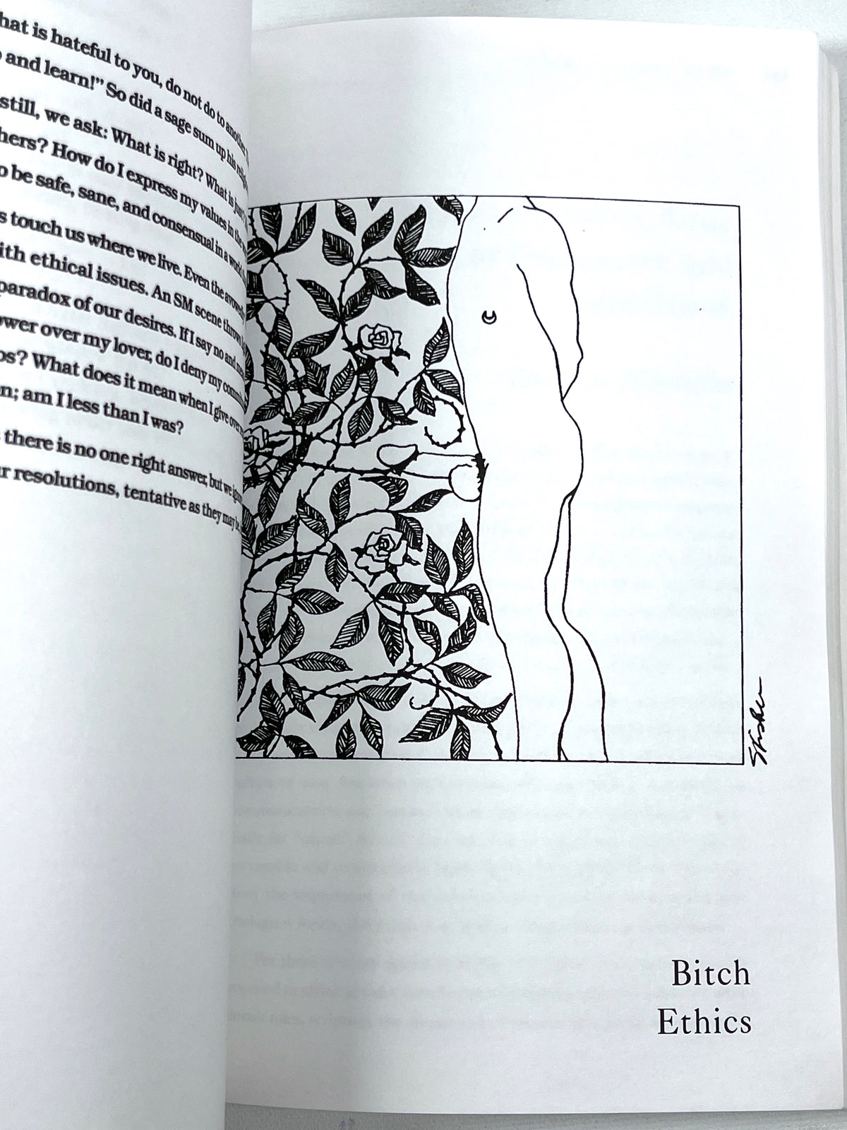 Bitch Goddess: The Spiritual Path of the Dominant Woman, 1997, VG SC, lesbian interest