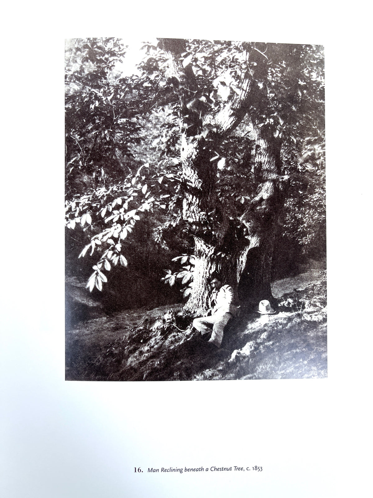 Charles Marville: Photographer of Paris, National Gallery of Art, 2013, Near Fine HC w/DJ.