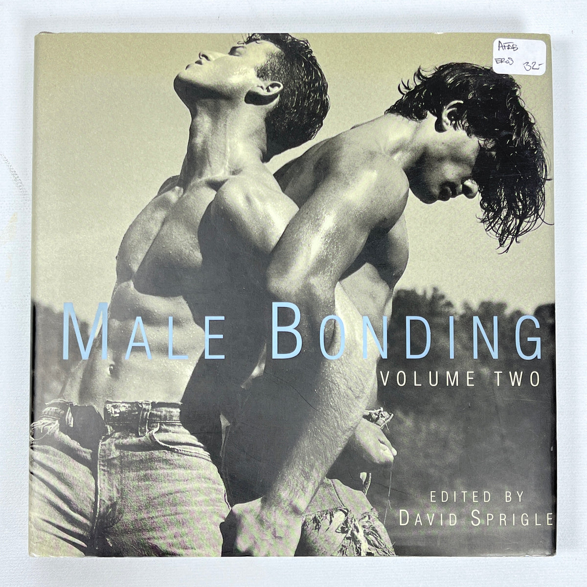 David Springle, Male Bonding, Part Two, Anthology IV, FotoFactory Press, 1998, Near Fine hardcover w/dust jacket.